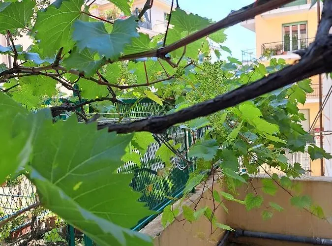 La Casa Di Marina